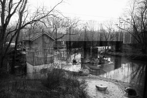 Brandywine River reflections