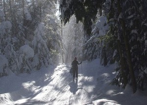 SkierinBlowingSnowVikingTrailLondonderryVT