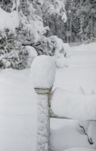 Snow - Fence post - r